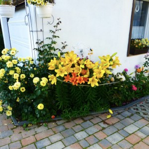 gepflegter Garten