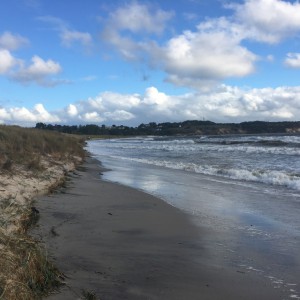der naturbelassene Suedstrand in Goehren / Ruegen