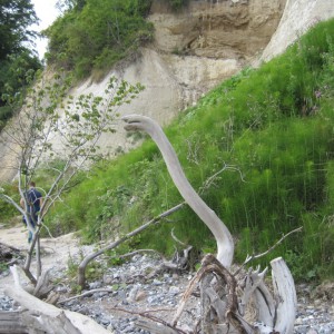 am Suedstrand - Natur pur